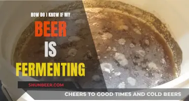 Signs and Symptoms: How to Tell if Your Beer is Fermenting