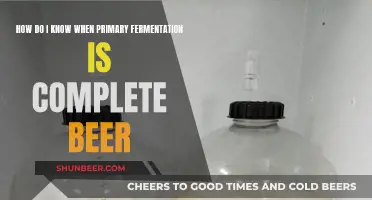 Mastering the Art of Beer Fermentation: Signs of Completion