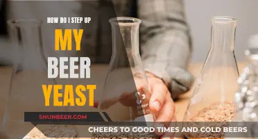 Elevate Your Brewing: Techniques to Enhance Beer Yeast Performance