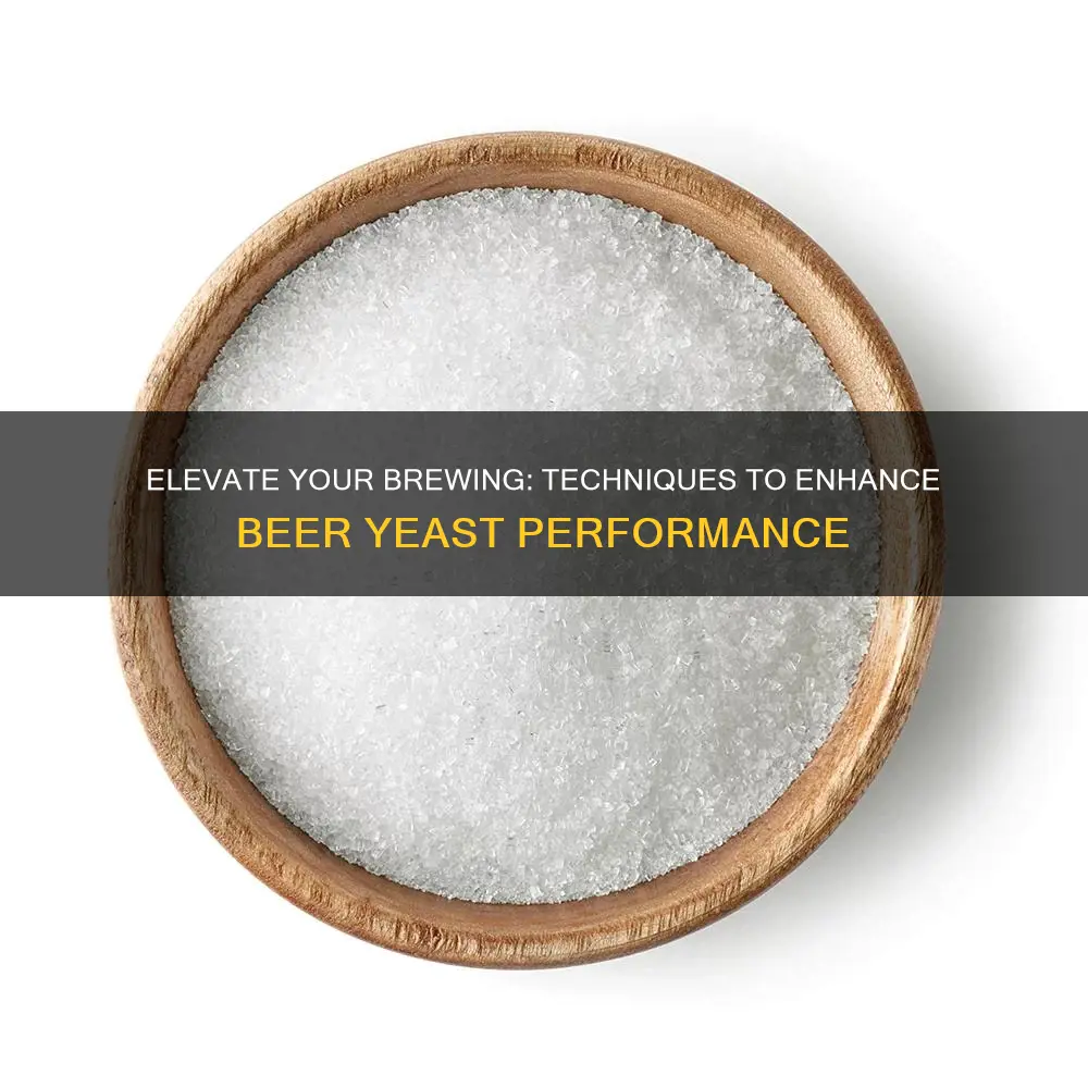 how do i step up my beer yeast