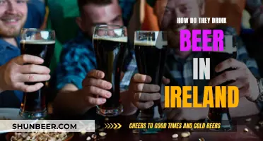 Ireland's Beer Culture: Unique Drinking Traditions Explored