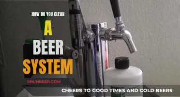 Mastering the Art of Cleaning Your Beer System: A Comprehensive Guide