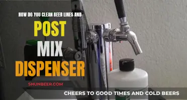 Mastering the Art of Cleaning Beer Lines and Post Mix Dispensers