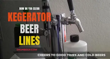 Mastering Kegerator Beer Line Cleaning: A Step-by-Step Guide