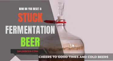 Troubleshooting Stuck Fermentation: Tips for Rescuing Your Beer