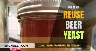 Brewing Beyond Beer: Creative Ways to Reuse Yeast