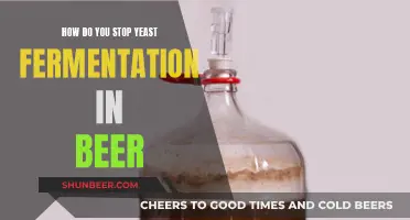 Mastering Beer's Balance: Stopping Yeast Fermentation