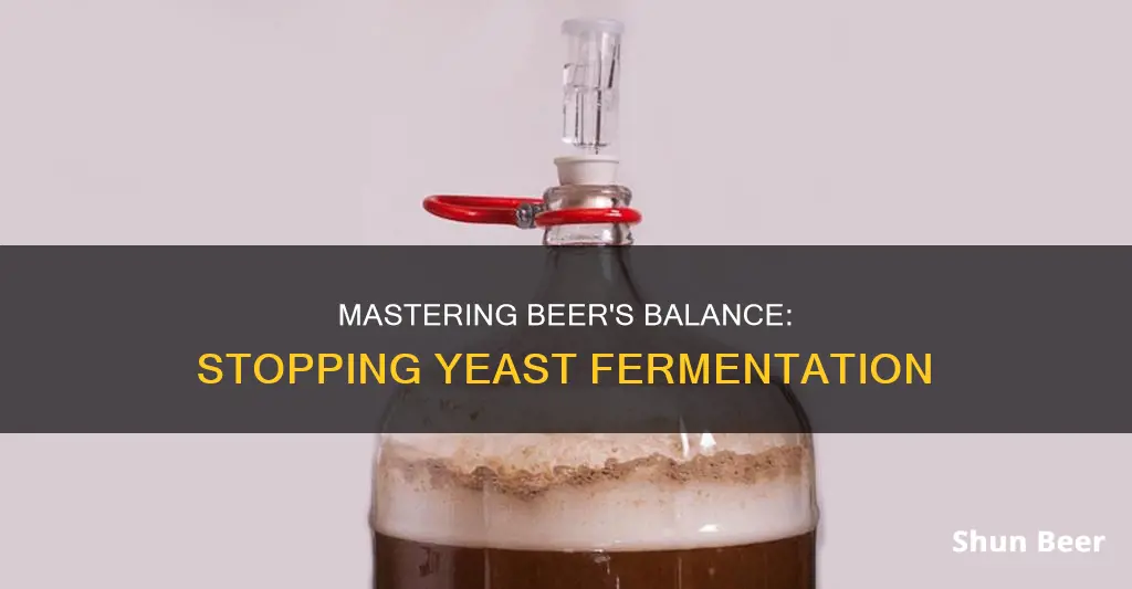 how do you stop yeast fermentation in beer