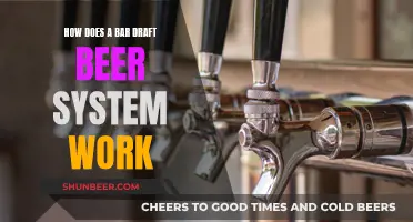 The Magic Behind Draft Beer: Bar System Explained