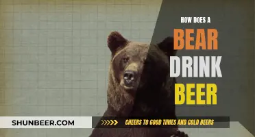 A Bear's Beer Drinking: Techniques and Tricks