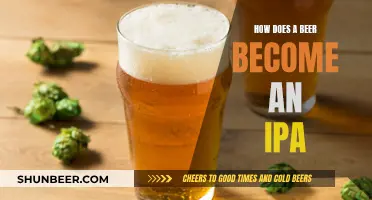 The Evolution of Beer: IPAs and Their Rise