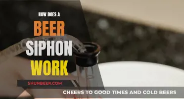 Understanding Beer Siphons: How Do They Work?