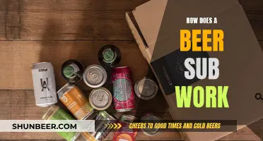 Beer Subscriptions: How Do They Work?