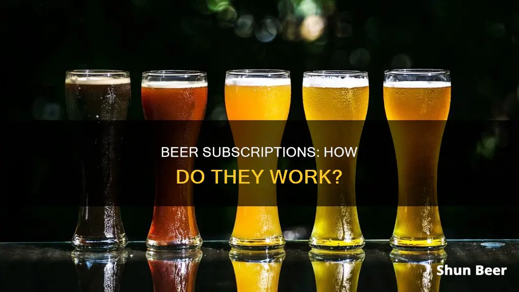 how does a beer sub work