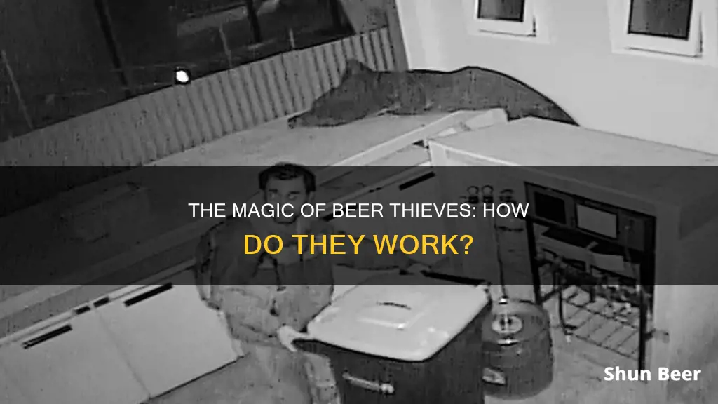 how does a beer thief work