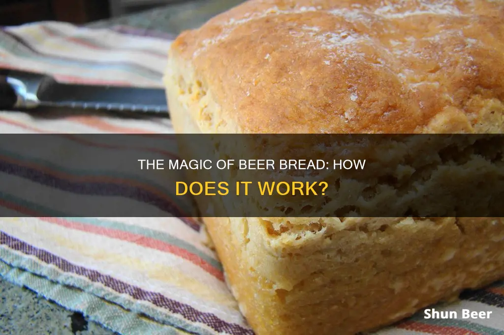 how does beer bread work