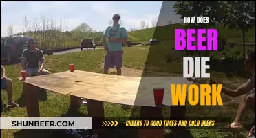 Beer Die: A Fun Guide to the Game and its Rules