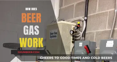 Beer Gas: How Does It Work?