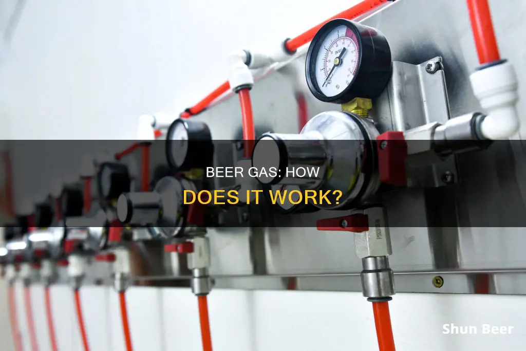 how does beer gas work