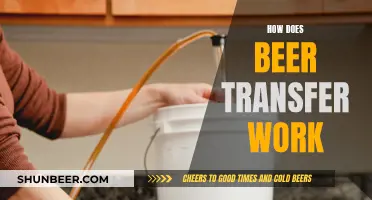 Beer Transfer Mechanics: How Does It Work?