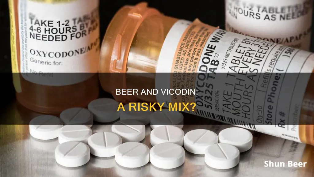 how does beer work with vicodin reddot