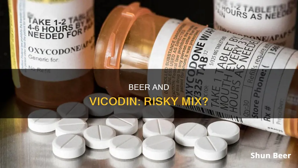 how does beer work with vicodin