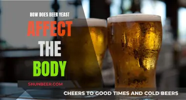 Uncover the Magic: Beer Yeast's Impact on Your Body