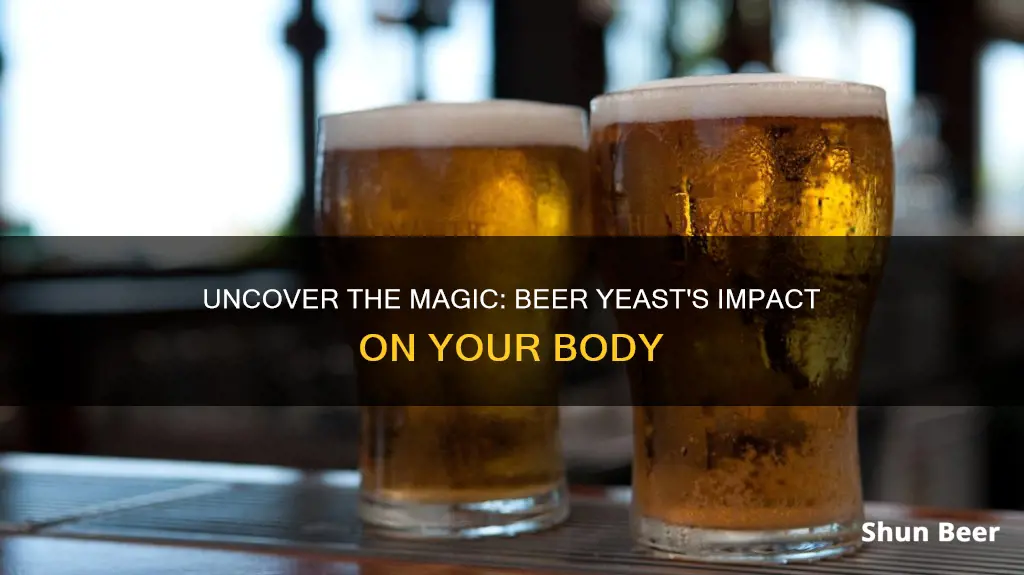 how does beer yeast affect the body