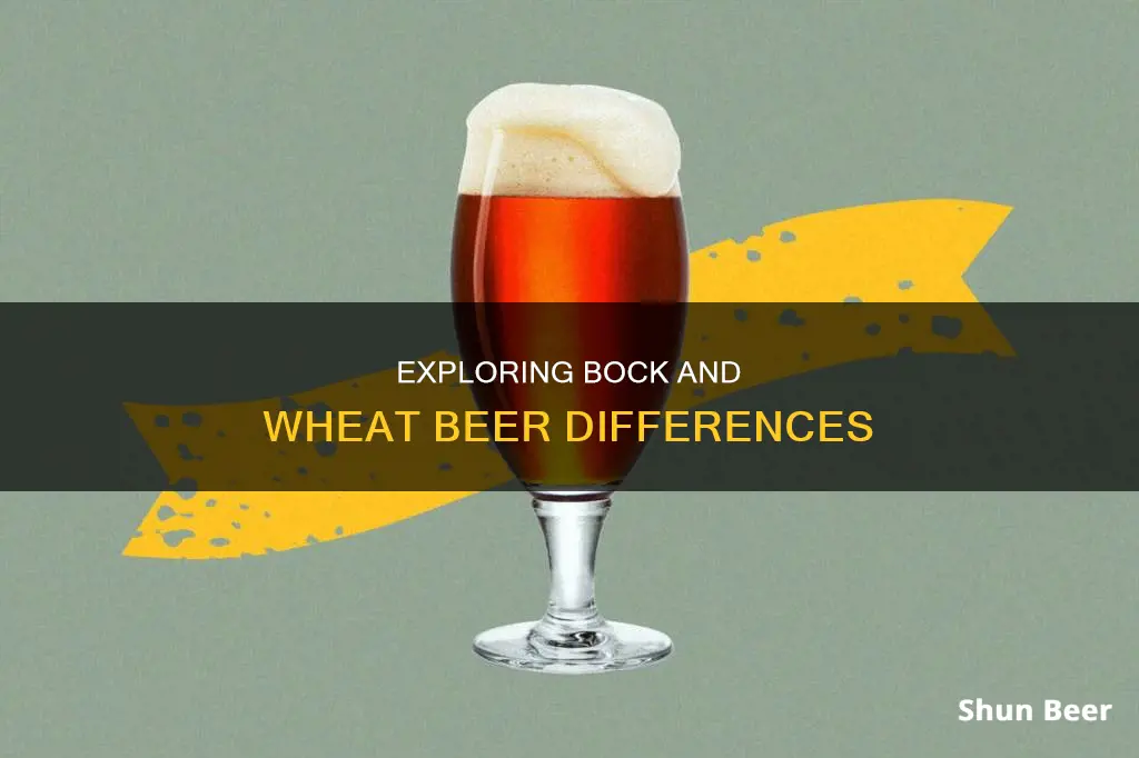 how does bock beer compare to wheat beer