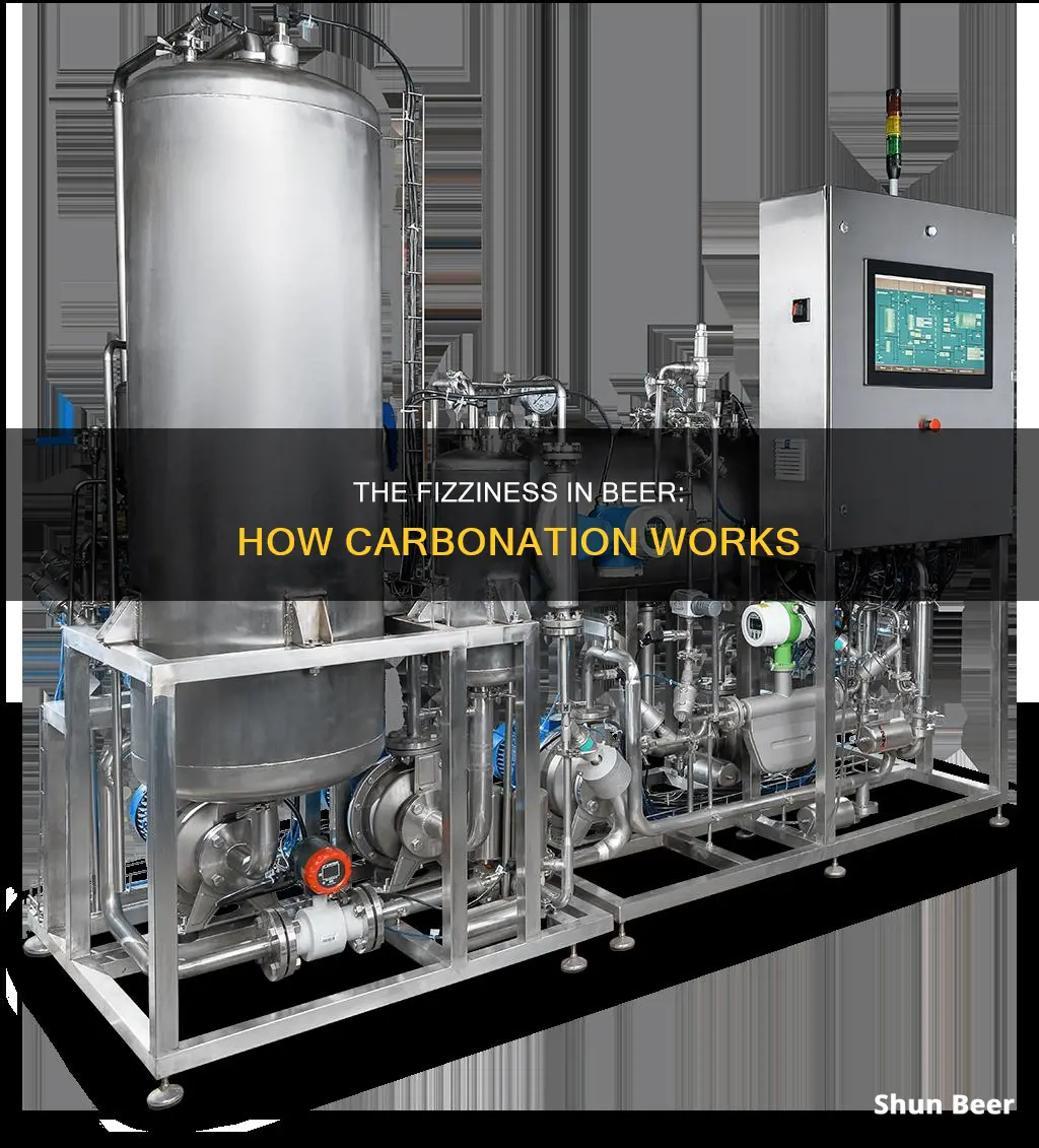 how does carbonation work in beer