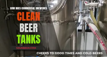 Brewing Clean: The Art of Sanitizing Beer Tanks