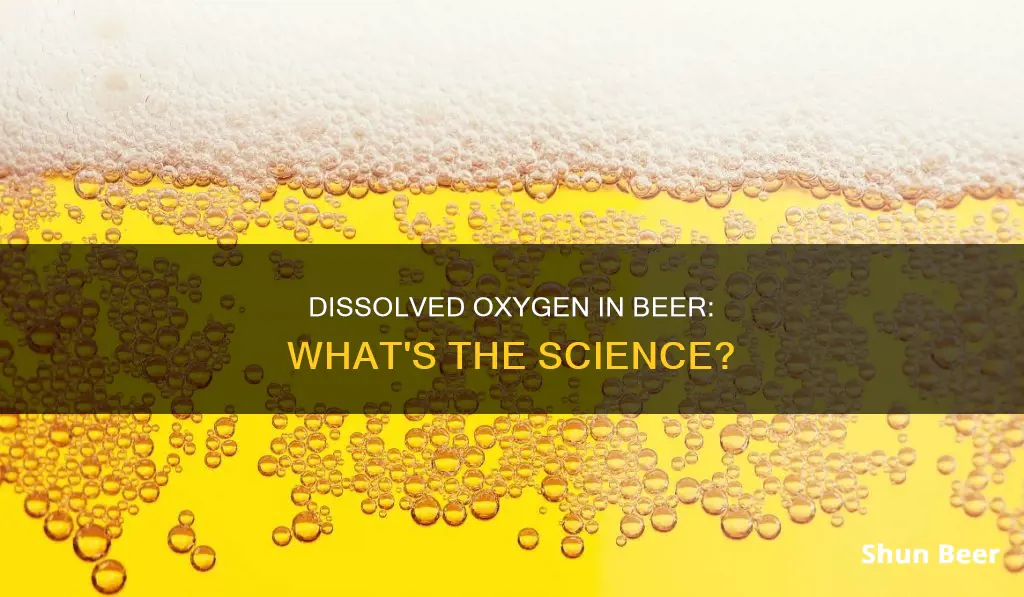 how does dissolved oxygen in beer work