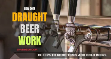 Draught Beer: How Does It Work?