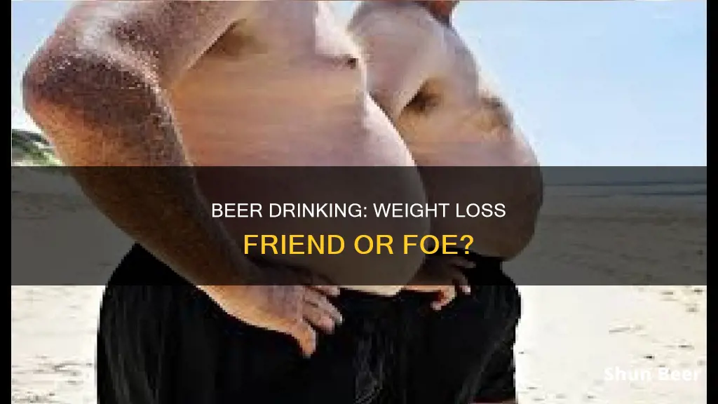 how does drinking beer affect weight loss