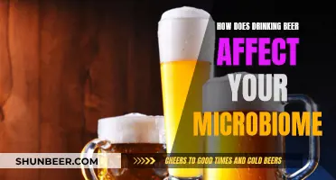 Beer and Your Microbiome: Exploring the Connection