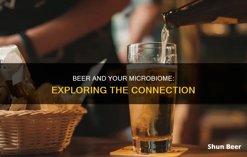 how does drinking beer affect your microbiome