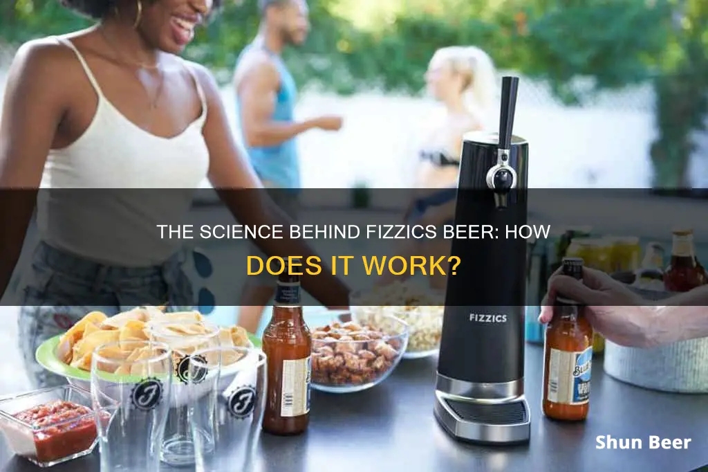 how does fizzics beer work