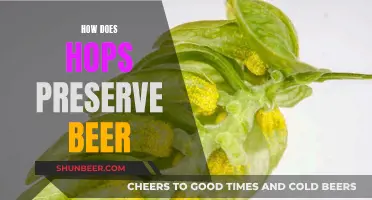 Hops' Preservative Powers: Keeping Beer Fresh