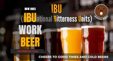 Beer and Painkillers: How Does Ibu Work?