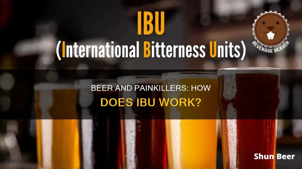 how does ibu work beer