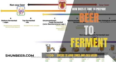 The Art of Brewing: Unlocking Fermentation Secrets