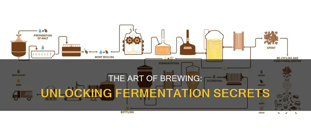 how does it take to prepare beer to ferment