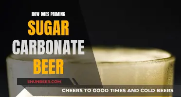 Priming Sugar Secrets: Carbonation in Beer Explained