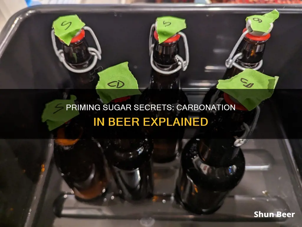 how does priming sugar carbonate beer