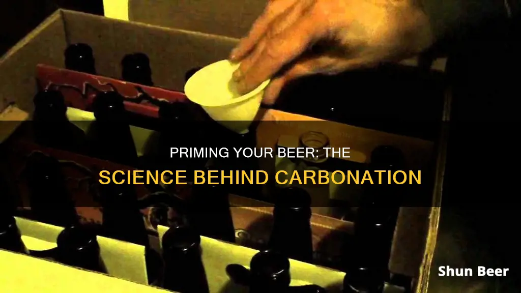 how does priming your beer work