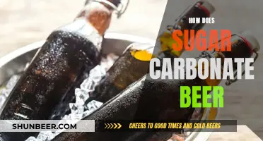 Sugar's Role in Beer Carbonation Explained