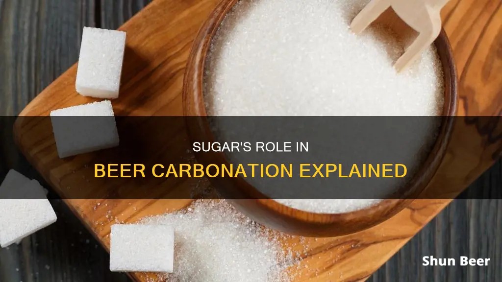 how does sugar carbonate beer