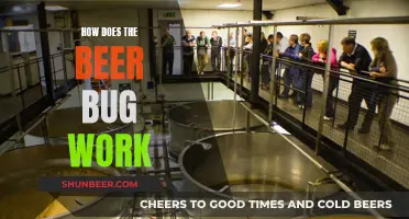 The Beer Bug Mystery: How Does It Work?