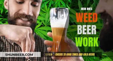 Weed Beer: How Does It Work?