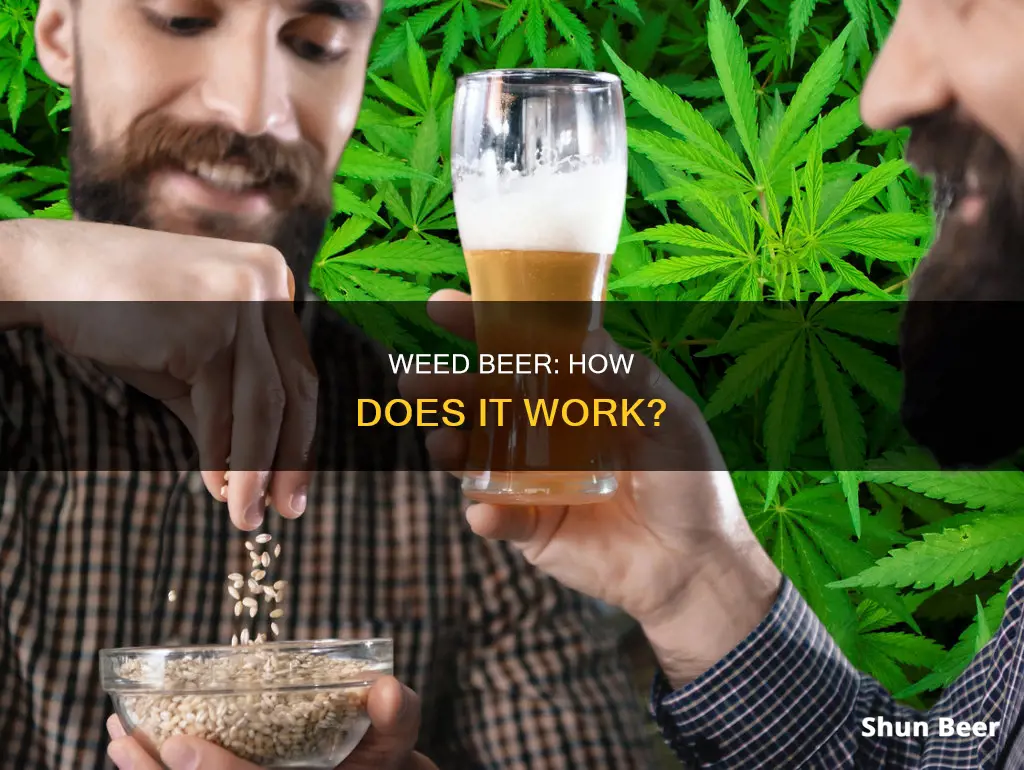 how does weed beer work